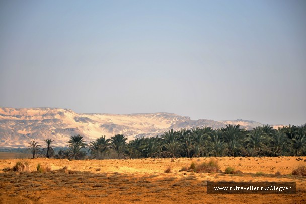 photo 887701