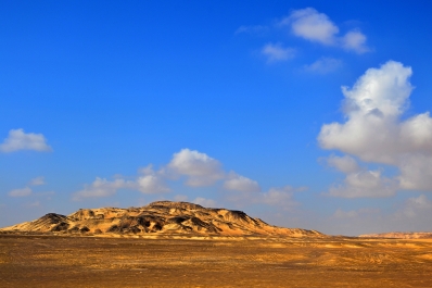 photo 887737