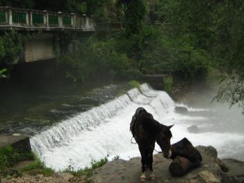 photo 746832