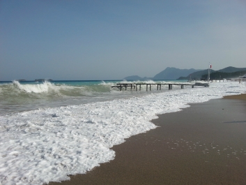 photo 778165