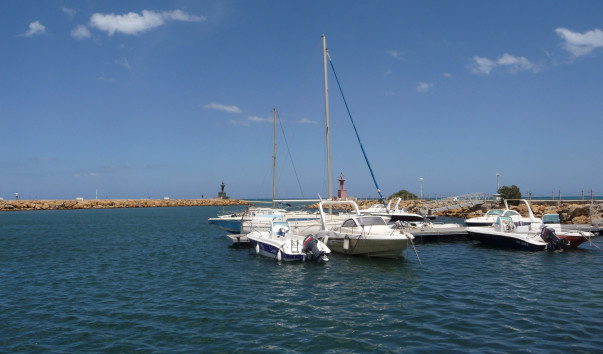 P1090249