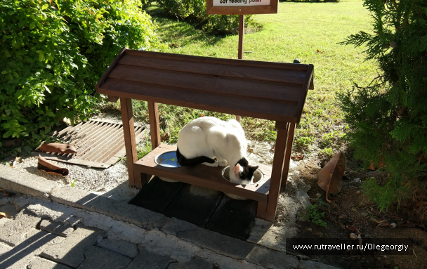 photo 1622538