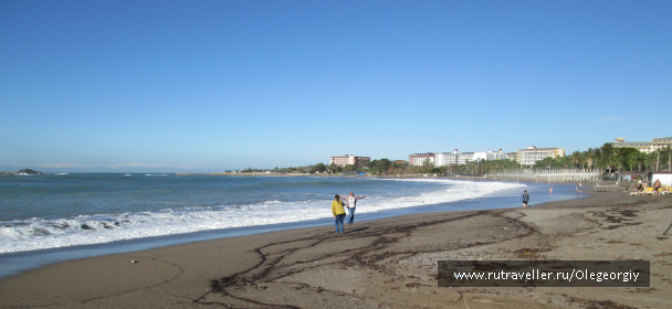 photo 1622493
