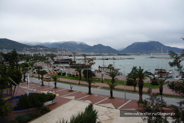 photo 1622505