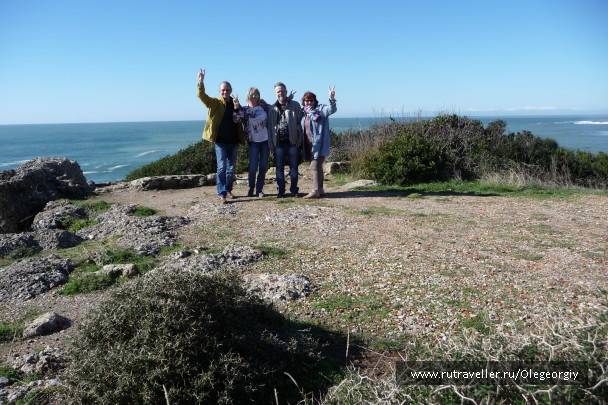 photo 1622516
