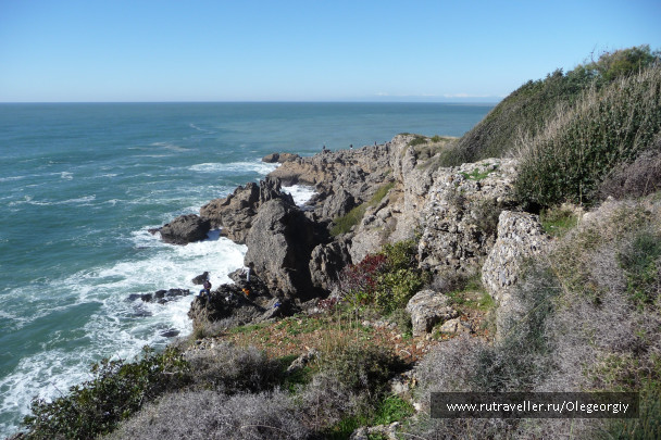 photo 1622519