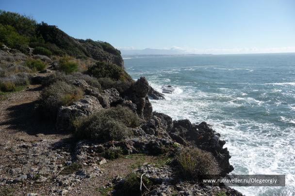 photo 1622522
