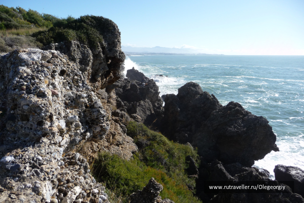 photo 1622524
