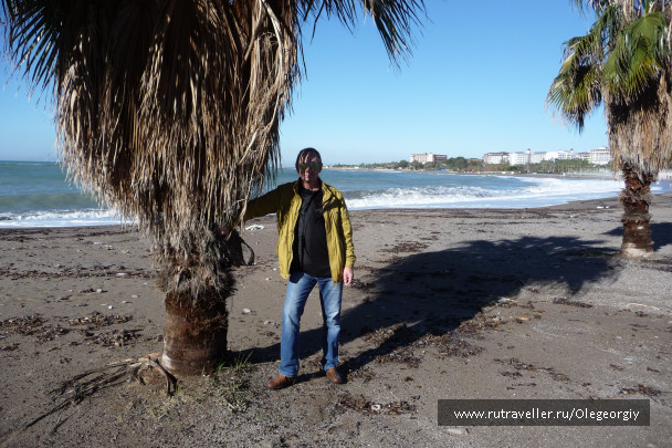 photo 1622525