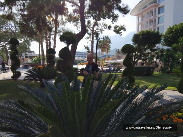 photo 1829478