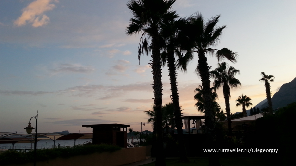 photo 1829497