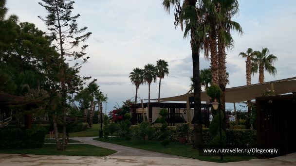 photo 1829501