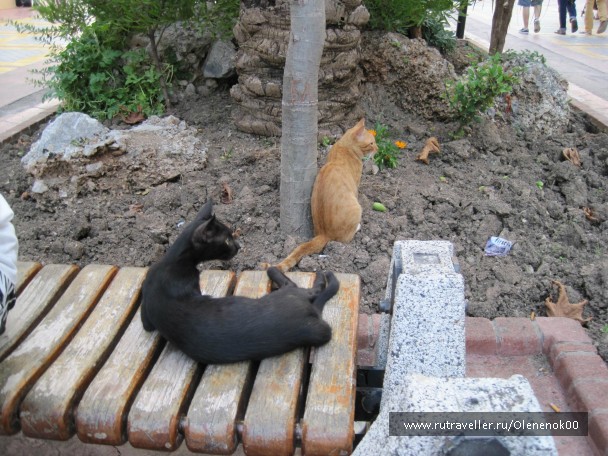 photo 836856