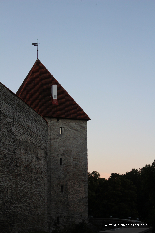 photo 1164135