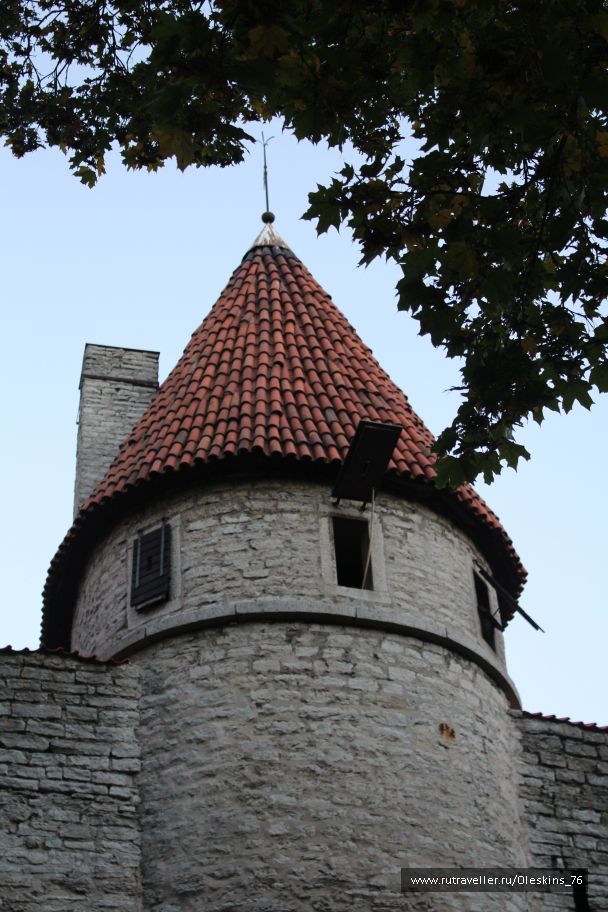 photo 1164136
