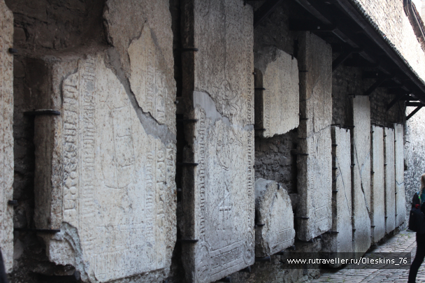 photo 1164154