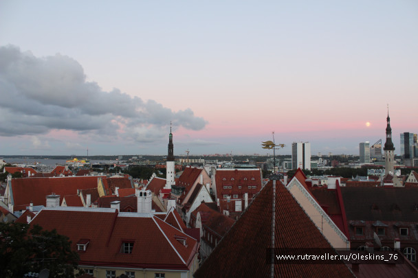 photo 1164170