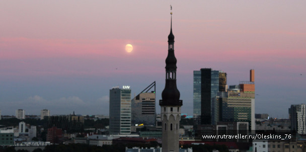 photo 1164171