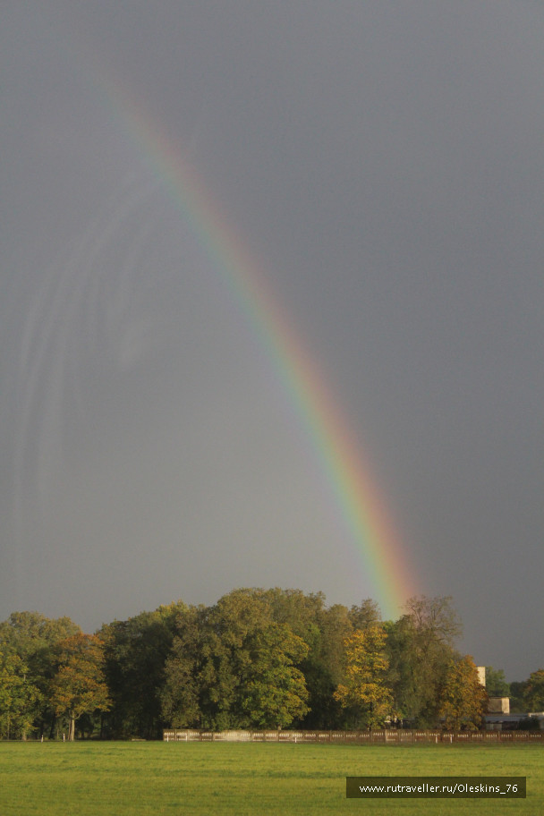 photo 1164177