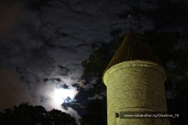 photo 1164189