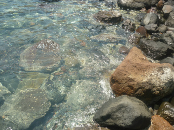 photo 455256