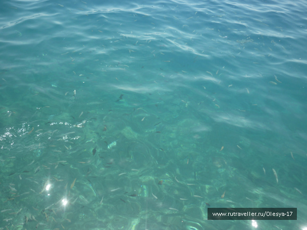photo 455257