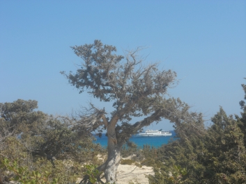 photo 779414