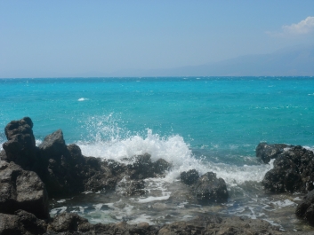 photo 779420