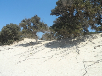 photo 779427