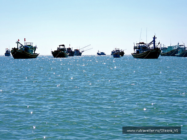 photo 996973