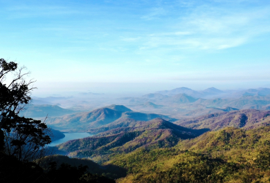 photo 996977