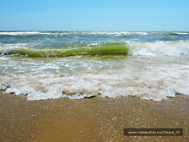 photo 999831