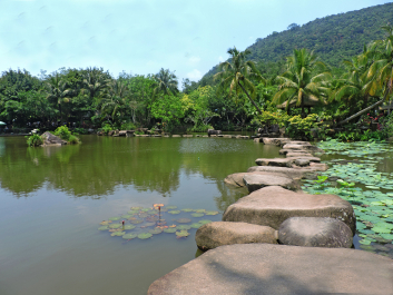photo 1478462