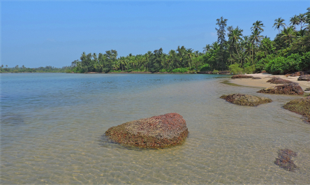 photo 1830302