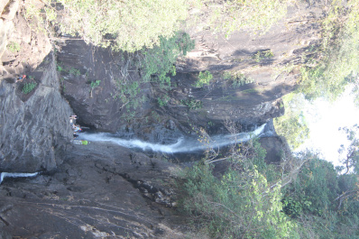 photo 229573