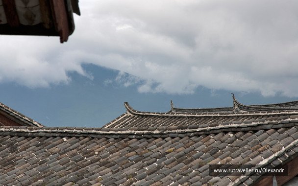 photo 91815