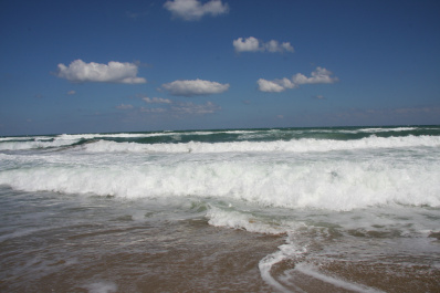 photo 408459