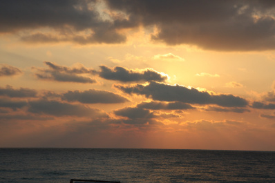 photo 408460