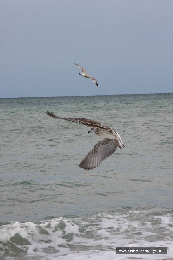 photo 408477