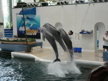 photo 408548