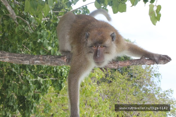 photo 472535