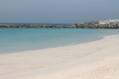 photo 471375