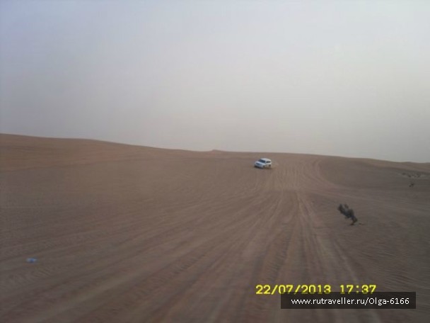photo 775281