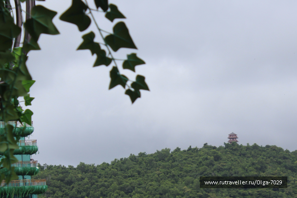 photo 1512667