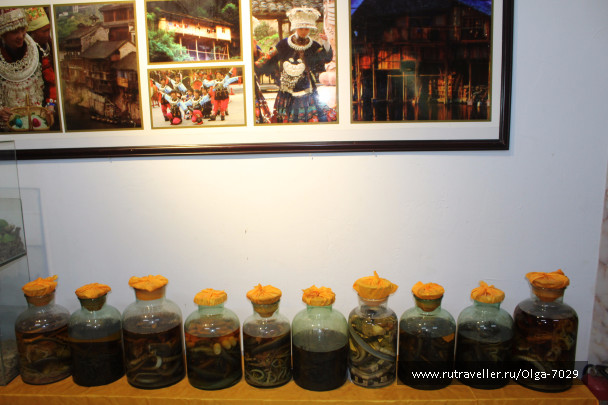 photo 1512683