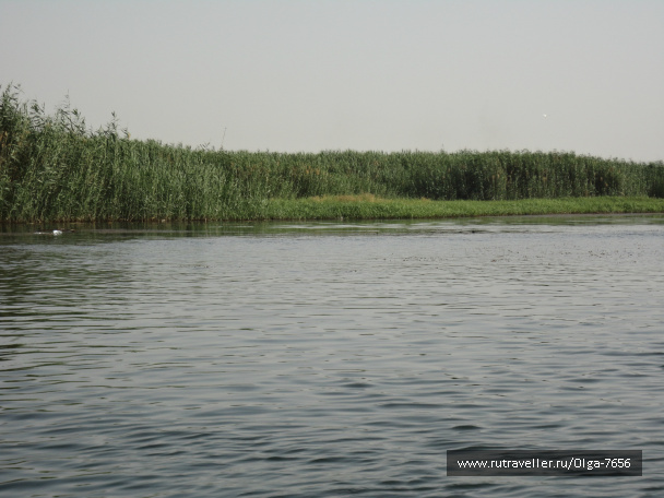 photo 396326