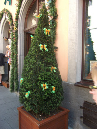 photo 475189