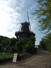 photo 476250