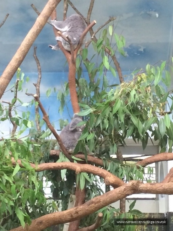 photo 1070664