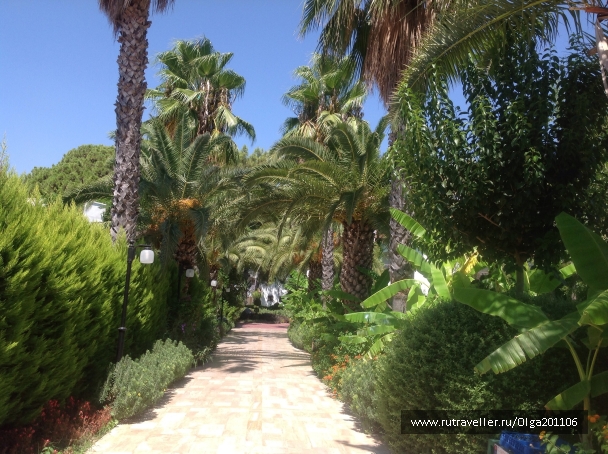 photo 731715